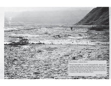 Indlæs billede til gallerivisning Stuart Brisley : The Peterlee project 1976-77