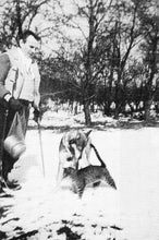 Indlæs billede til gallerivisning Louis-Ferdinand Céline: Breve fra Vestre Fængsel