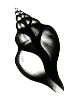 Indlæs billede til gallerivisning Anne-Louise Bosmans: Mens jeg sover, glemmer jeg dig