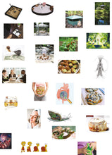 Indlæs billede til gallerivisning Kasper Hesselbjerg: Opskrift på snegle og succes / Recipe for Snails and Success / 달팽이와 성공을 위한 레시피